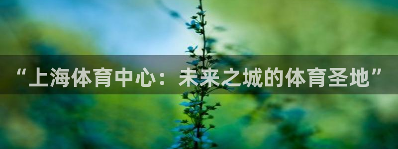 蓝鲸电商直播：“上海体育中心：未来之城的体育圣地”